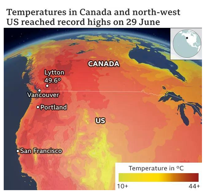 The popularity soared 5000%! Rare heat waves hit North America, related products sold out(图1)