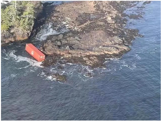 Zim Kingston container ship dropped to 106 containers(图2)